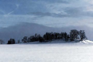 Snow, micropoetry by Miroslava Panayotova at Spilwords.com