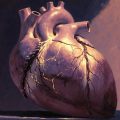 The Heart, a poem by Glen Gales at Spillwords.com
