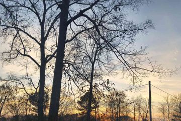 The Wrong Pizza Place, short story by Anna Kiddy at Spillwords.com