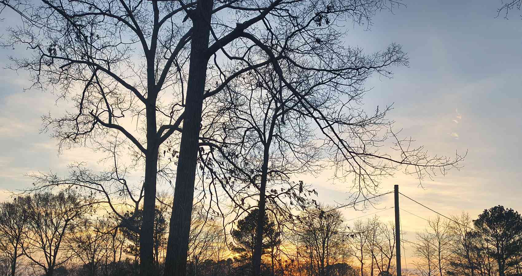 The Wrong Pizza Place, short story by Anna Kiddy at Spillwords.com