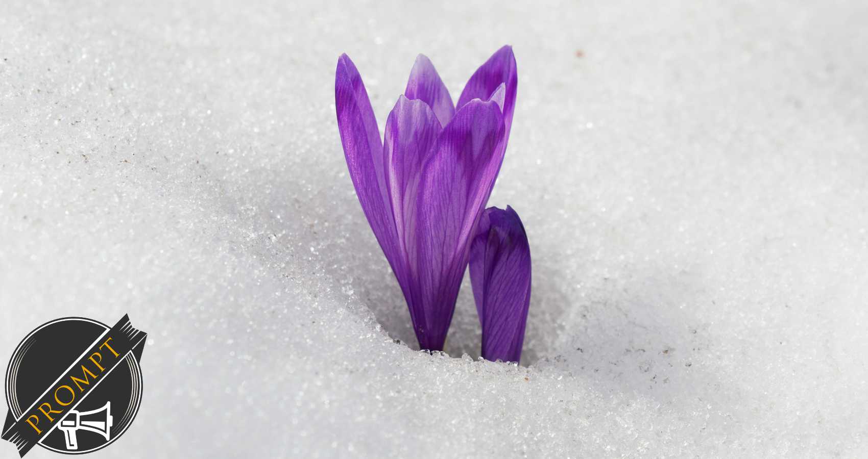 All That Is Solid, a poem by Lynn White at Spillwords.com