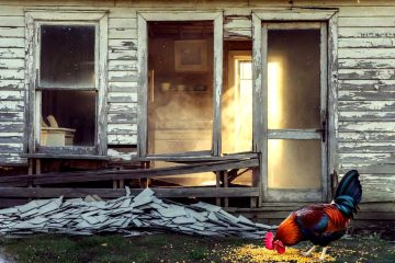 Anatomy of a Poet, or This Old House, poetry by David Estringel at Spillwords.com