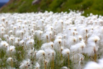 And Then I Stepped Outside, poetry by Emanuel Pope at Spillwords.com