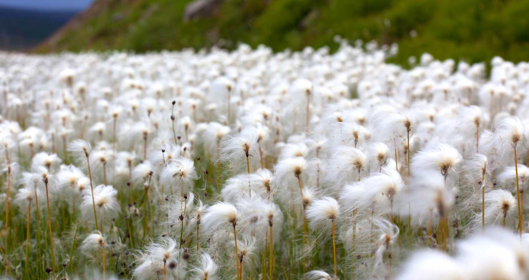 And Then I Stepped Outside, poetry by Emanuel Pope at Spillwords.com