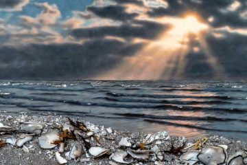 Bittersweet Breeze, a poem by Embee Riley at Spillwords.com