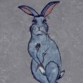 Brahmin Bunny, poetry by Monica Medappa at Spillwords.com