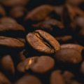 Coffee Beans After the Rain, poetry by Lillian Elise at Spillwords.com