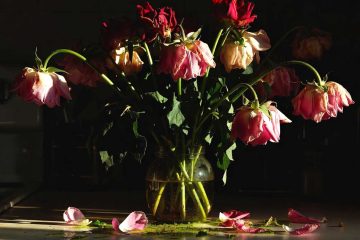 Don't Gift me with Death, poetry by Rachael Thorp at Spillwords.com