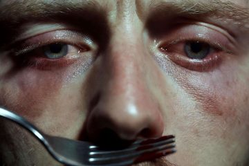 My Little Dove, a short story by David Milner at Spillwords.com