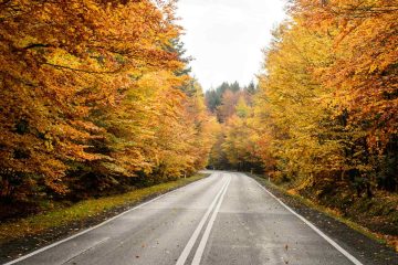 Nature's Paint Brush, poetry by Noel Mouldovan at Spillwords.com