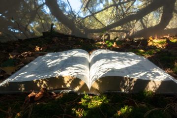 Read: A Deed in Need, poetry by Nishand Venugopal at Spillwords.com