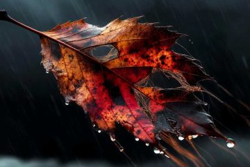 Rediscovering Life! a poem by Pranab Ghosh at Spillwords.com