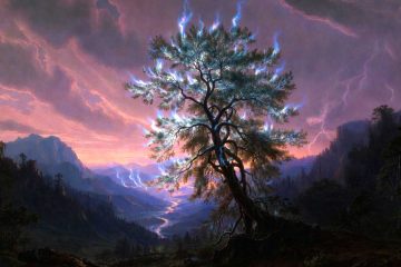 Shimmering Tree, a poem by Sterling Warner at Spillwords.com