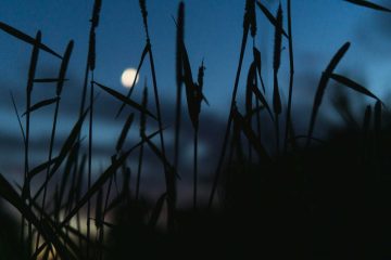 The Moon, a haiku by Katherine E Winnick at Spillwords.com