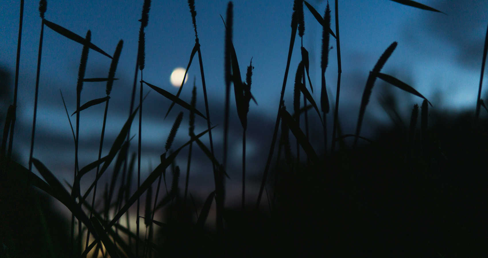 The Moon, a haiku by Katherine E Winnick at Spillwords.com