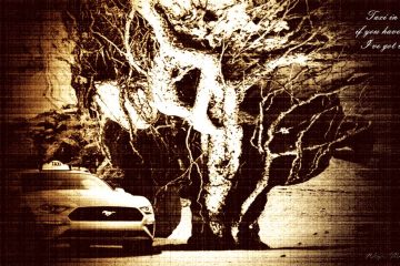 The Root, a haiku by Robyn MacKinnon at Spillwords.com