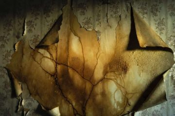 The Stain, a short story by Jacqueline Erasin at Spillwords.com