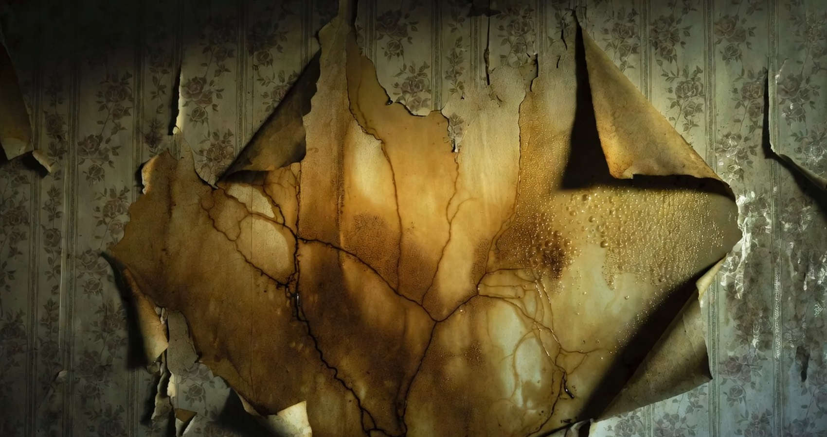 The Stain, a short story by Jacqueline Erasin at Spillwords.com