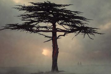 What The Marys Saw, a poem by Linda Imbler at Spillwords.com