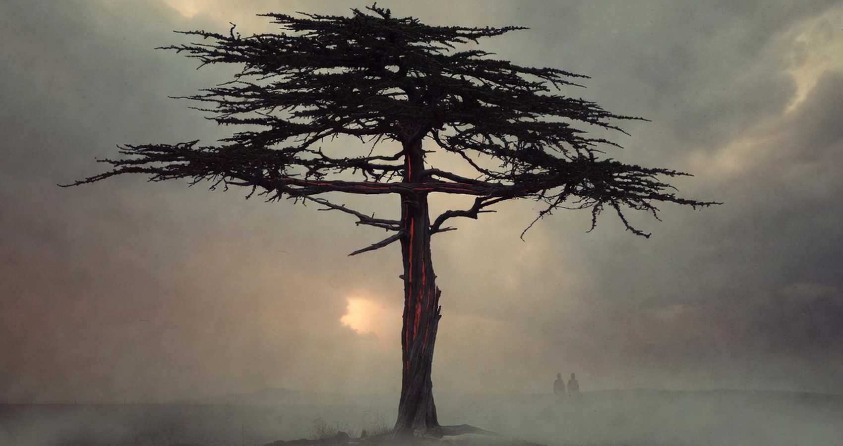 What The Marys Saw, a poem by Linda Imbler at Spillwords.com