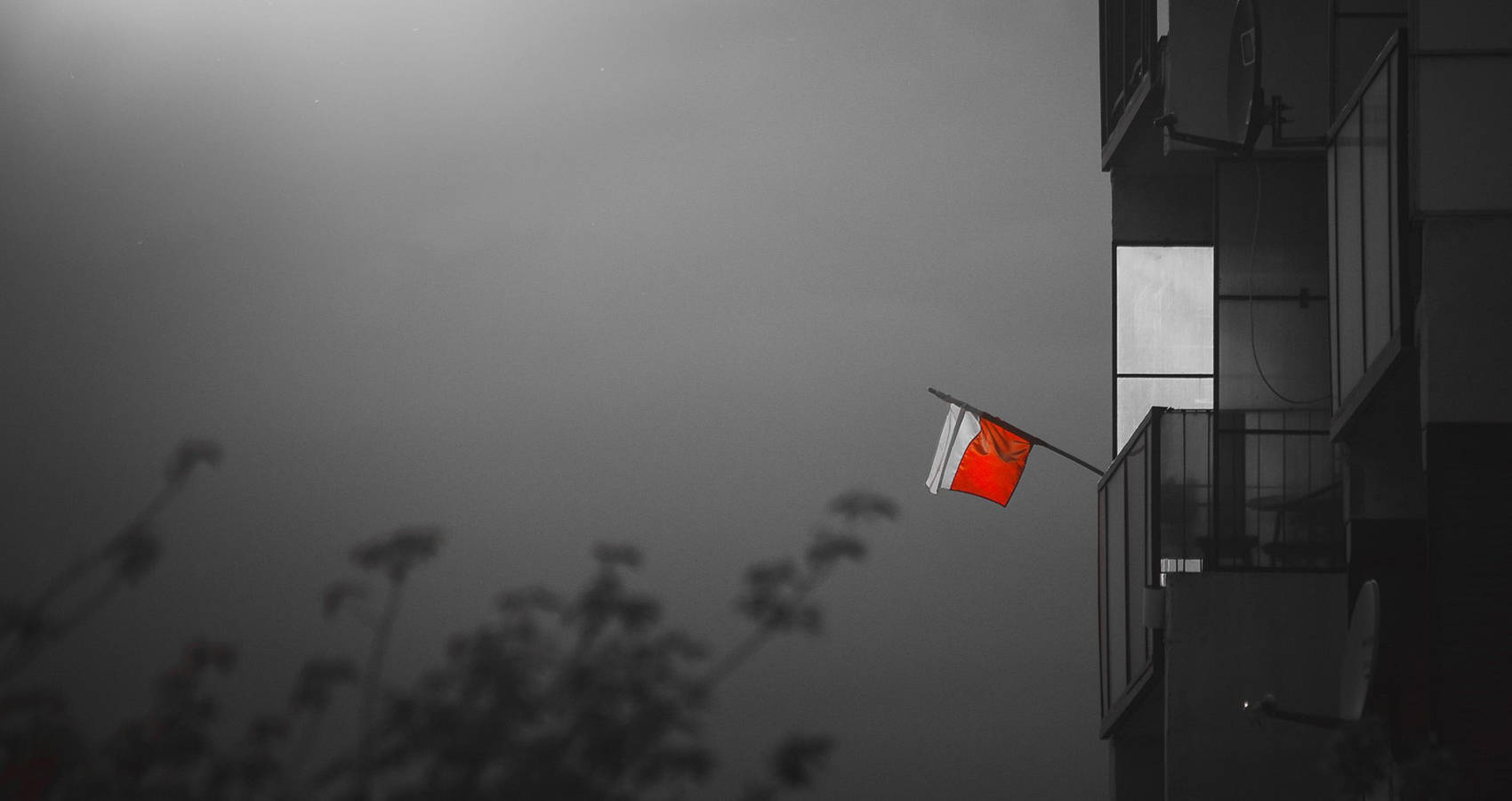 § 22, poetry by Maksymilian Tchoń at Spillwords.com