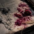A Haunting, flash fiction by Katharina Harzer at Spillwords.com