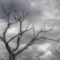 Echoes Beneath Grey Clouds, a poem by Pramod Rastogi at Spillwords.com