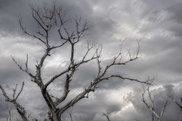 Echoes Beneath Grey Clouds, a poem by Pramod Rastogi at Spillwords.com