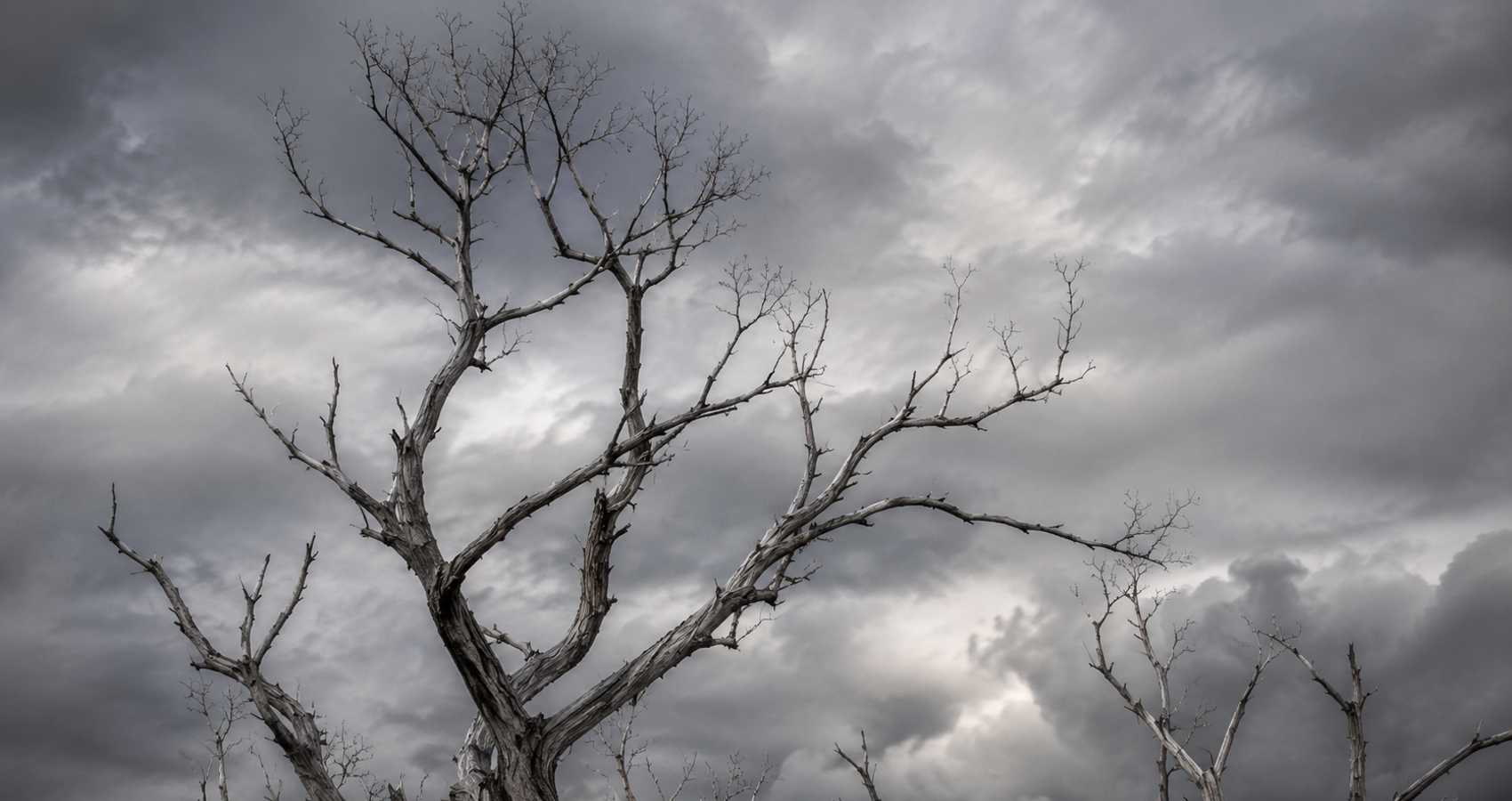Echoes Beneath Grey Clouds, a poem by Pramod Rastogi at Spillwords.com