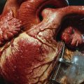 Heart, a poem by Rex Fausett at Spillwords.com