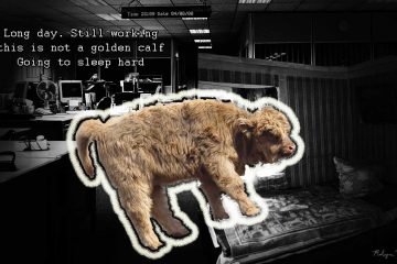 Long Day, a haiku by Robyn MacKinnon at Spillwords.com