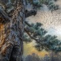 School Reunions, poetry by Nkwachukwu Ogbuagu at Spillwords.com