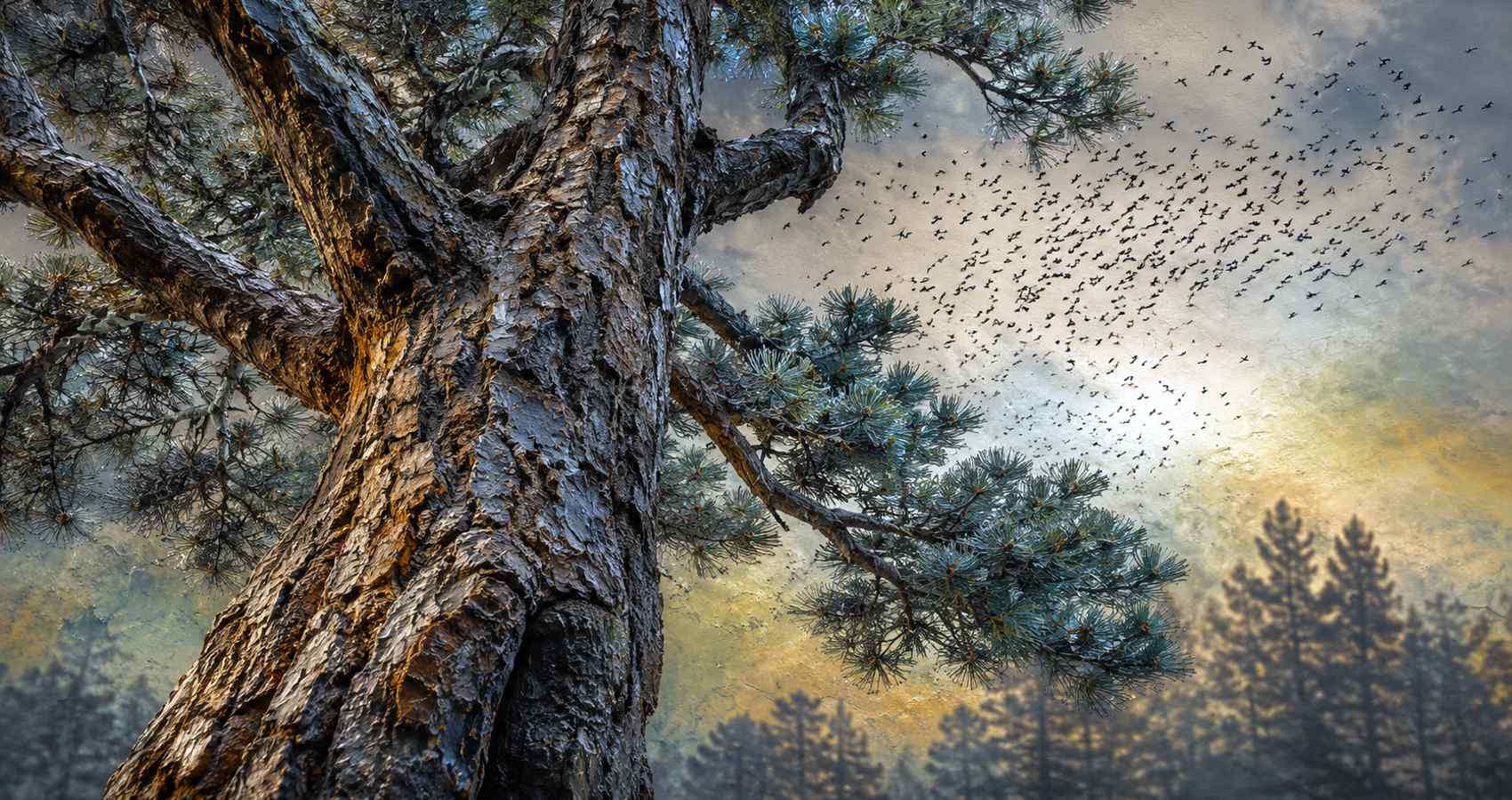 School Reunions, poetry by Nkwachukwu Ogbuagu at Spillwords.com