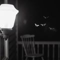 Still a Porch Light On, poem by Michael Ridinger at Spillwords.com