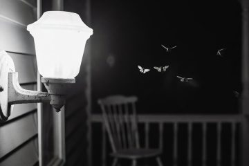 Still a Porch Light On, poem by Michael Ridinger at Spillwords.com