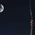Take Me Back, a poem by Eliana Furnari at Spillwords.com