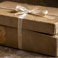 The Old Shoe Box, memoir by Rosella Sims at Spillwords.com