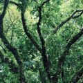 The Purpose of Life, a poem by Kriti Mahnot at Spillwords.com
