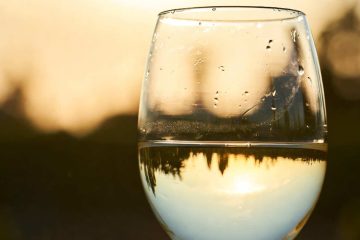 Wine by Joe, an article by Joseph Coniglio at Spillwords.com
