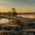 Jack, a poem by Macabea at Spillwords.com