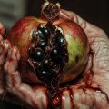 The Rotten Seed, poem by Manpreet Kaur Popli at Spillwords.com