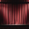 The Show, poetry by G.R.F. at Spillwords.com