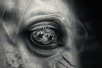 All The Saints, a poem by James Walmsley at Spillwords.com
