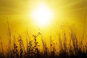 For Pete's Sake, micropoetry by Paula Puolakka at Spillwords.com