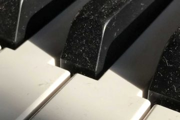 Forgotten Piano, micropoetry by Rui Amisa at Spillwords.com