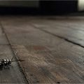 All They Left Behind, story by Kevin Barney at Spillwords.com