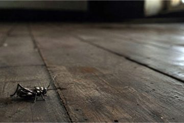 All They Left Behind, story by Kevin Barney at Spillwords.com