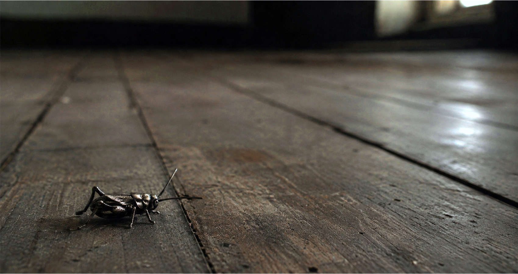 All They Left Behind, story by Kevin Barney at Spillwords.com