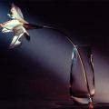 Enchanting Aura, poetry by Maliya Denise Wilmore at Spillwords.com