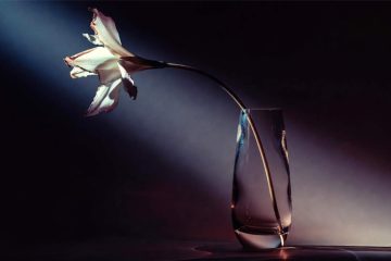 Enchanting Aura, poetry by Maliya Denise Wilmore at Spillwords.com